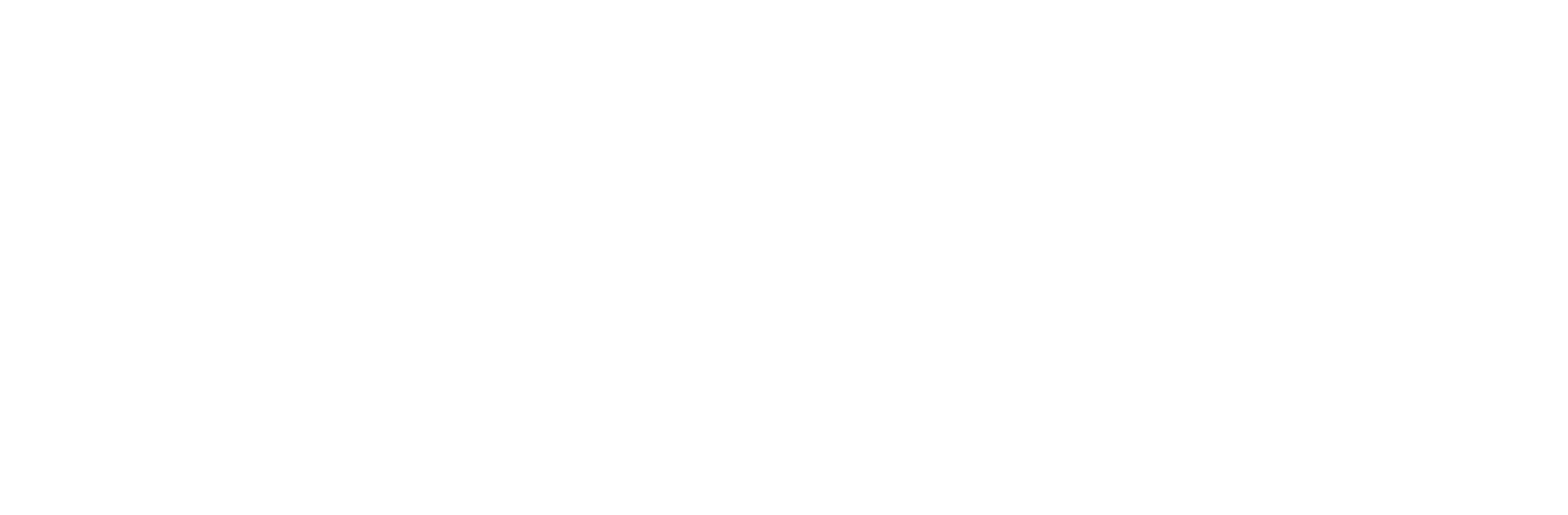 Motorsport DS Agency